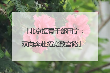 北京援青干部田宁：双向奔赴拓宽致富路