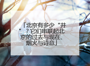 北京有多少“井”？它们串联起北京的过去与现在、烟火与诗意