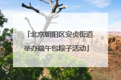 北京朝阳区安贞街道举办端午包粽子活动