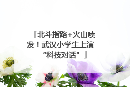 北斗指路+火山喷发！武汉小学生上演“科技对话”
