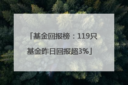 基金回报榜：119只基金昨日回报超3%