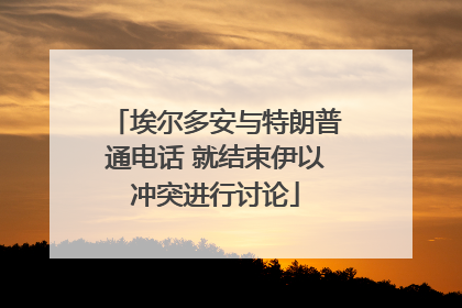 埃尔多安与特朗普通电话 就结束伊以冲突进行讨论