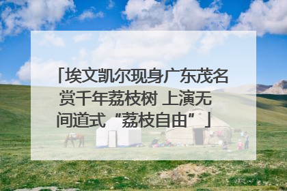 埃文凯尔现身广东茂名 赏千年荔枝树 上演无间道式“荔枝自由”