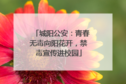 城阳公安：青春无毒向阳花开，禁毒宣传进校园