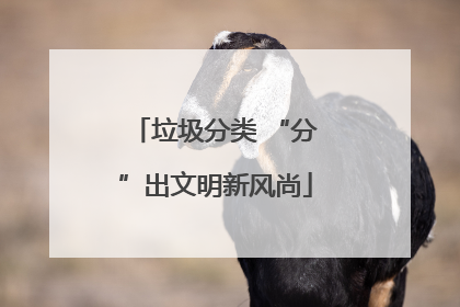 垃圾分类 “分”出文明新风尚