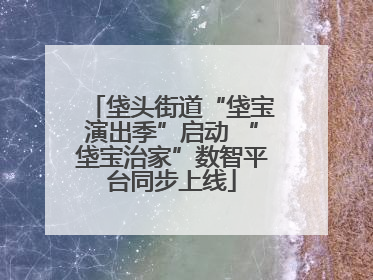 垡头街道“垡宝演出季”启动 “垡宝治家”数智平台同步上线