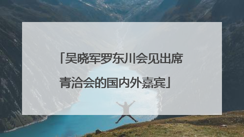 吴晓军罗东川会见出席青洽会的国内外嘉宾