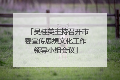 吴桂英主持召开市委宣传思想文化工作领导小组会议