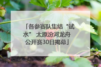 各参赛队集结“试水” 太原汾河龙舟公开赛30日揭幕