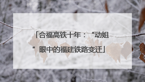 合福高铁十年：“动姐”眼中的福建铁路变迁