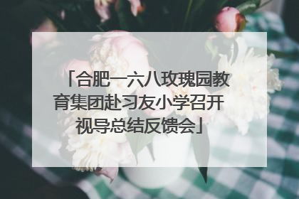 合肥一六八玫瑰园教育集团赴习友小学召开视导总结反馈会