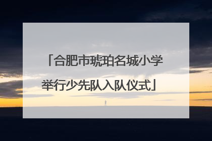 合肥市琥珀名城小学举行少先队入队仪式