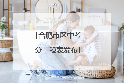 合肥市区中考一分一段表发布