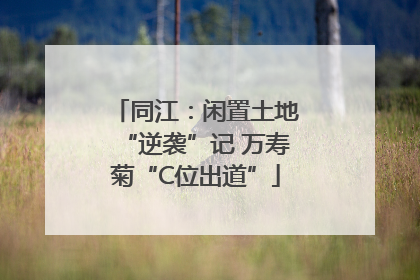 同江：闲置土地“逆袭”记 万寿菊“C位出道”