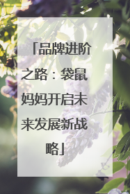 品牌进阶之路：袋鼠妈妈开启未来发展新战略