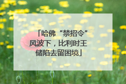 哈佛“禁招令”风波下，比利时王储陷去留困境