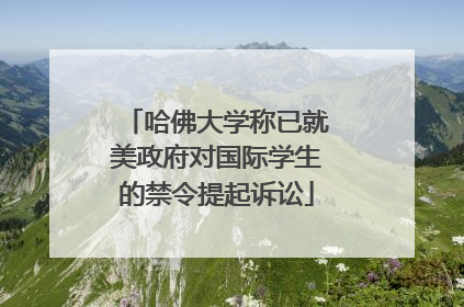 哈佛大学称已就美政府对国际学生的禁令提起诉讼