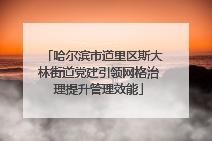 哈尔滨市道里区斯大林街道党建引领网格治理提升管理效能