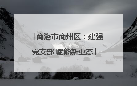 商洛市商州区：建强党支部 赋能新业态