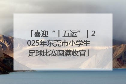 喜迎“十五运”｜2025年东莞市小学生足球比赛圆满收官