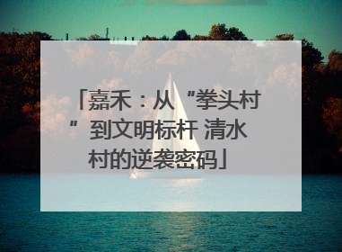 嘉禾：从“拳头村”到文明标杆 清水村的逆袭密码
