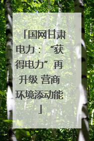 国网甘肃电力：“获得电力”再升级 营商环境添动能
