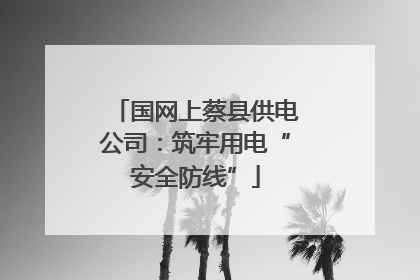国网上蔡县供电公司：筑牢用电“安全防线”
