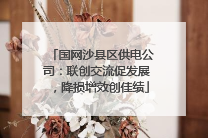 国网沙县区供电公司：联创交流促发展，降损增效创佳绩