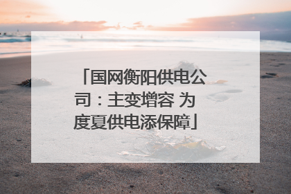 国网衡阳供电公司：主变增容 为度夏供电添保障