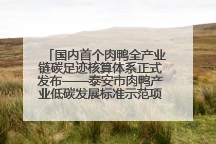国内首个肉鸭全产业链碳足迹核算体系正式发布——泰安市肉鸭产业低碳发展标准示范项目顺利通过验收
