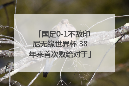国足0-1不敌印尼无缘世界杯 38年来首次败给对手