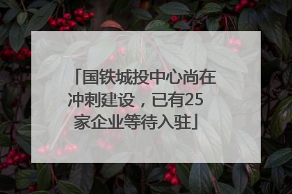 国铁城投中心尚在冲刺建设，已有25家企业等待入驻