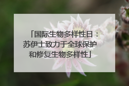 国际生物多样性日：苏伊士致力于全球保护和修复生物多样性
