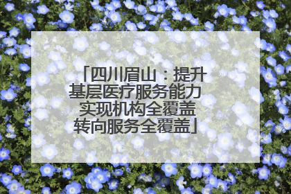 四川眉山：提升基层医疗服务能力 实现机构全覆盖转向服务全覆盖