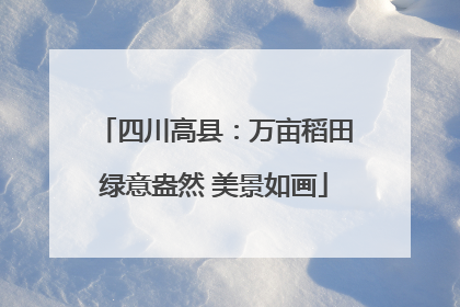 四川高县：万亩稻田绿意盎然 美景如画