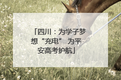 四川：为学子梦想“充电” 为平安高考护航
