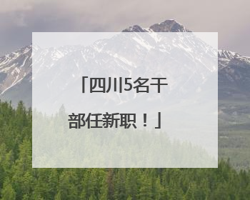 四川5名干部任新职！