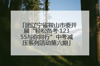 团辽宁省鞍山市委开展“轻松备考·12355与你同行”中考减压系列活动第六期