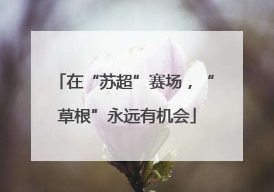 在“苏超”赛场，“草根”永远有机会