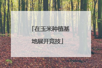 在玉米种植基地展开竞技