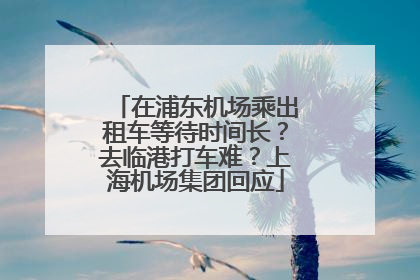 在浦东机场乘出租车等待时间长？去临港打车难？上海机场集团回应