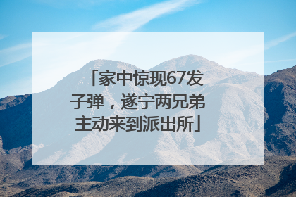 家中惊现67发子弹，遂宁两兄弟主动来到派出所