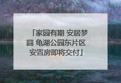 家园有期 安居梦圆 龟湖公园东片区安置房即将交付