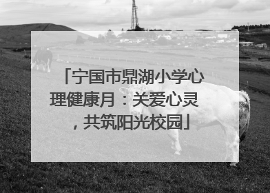 宁国市鼎湖小学心理健康月：关爱心灵，共筑阳光校园
