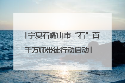 宁夏石嘴山市“石”百千万师带徒行动启动