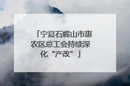 宁夏石嘴山市惠农区总工会持续深化“产改”