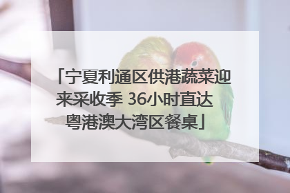 宁夏利通区供港蔬菜迎来采收季 36小时直达粤港澳大湾区餐桌