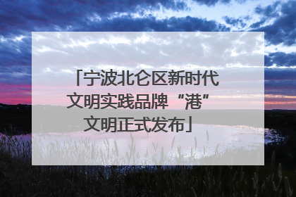 宁波北仑区新时代文明实践品牌“港”文明正式发布