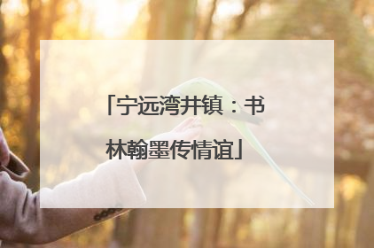 宁远湾井镇：书林翰墨传情谊
