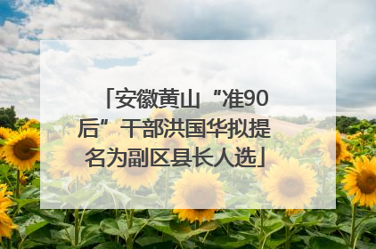 安徽黄山“准90后”干部洪国华拟提名为副区县长人选